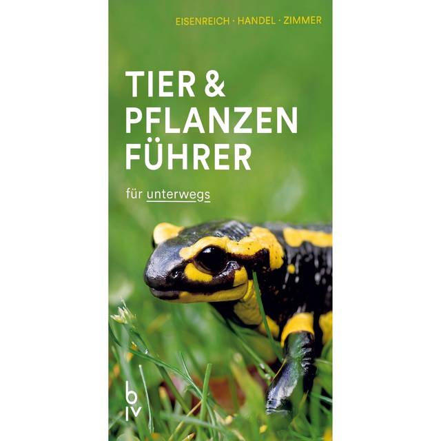 Der BLV Tier & Pflanzenführer für unterwegs