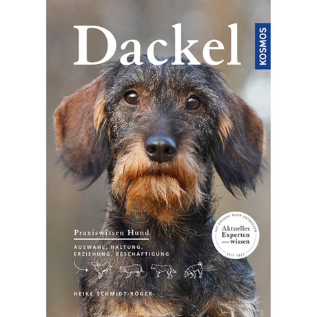 Dackel - Auswahl, Haltung, Erziehung, Beschäftigung