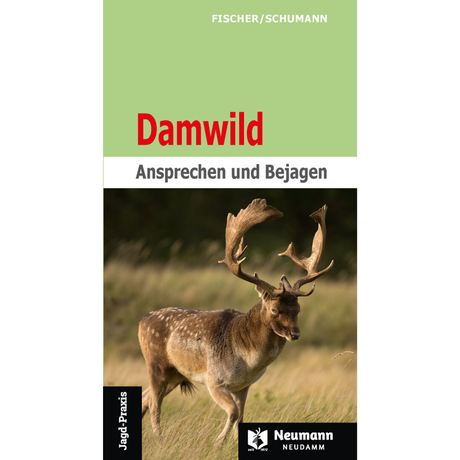 Damwild – Ansprechen und Bejagen