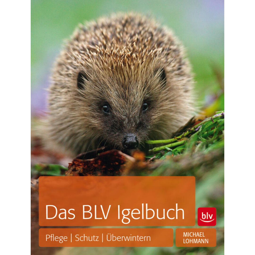 Das BLV Igelbuch - Pflege Schutz Überwintern von Michael Lohmann