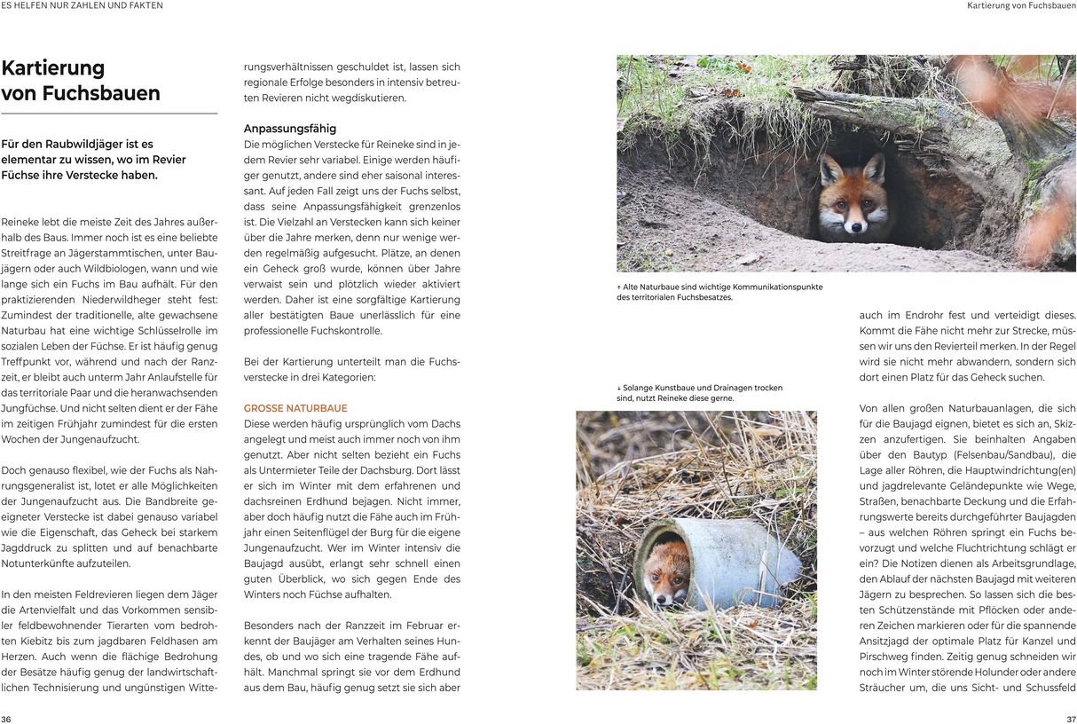 Das große BLV Handbuch Niederwild - Kartierung von Fuchsbauen