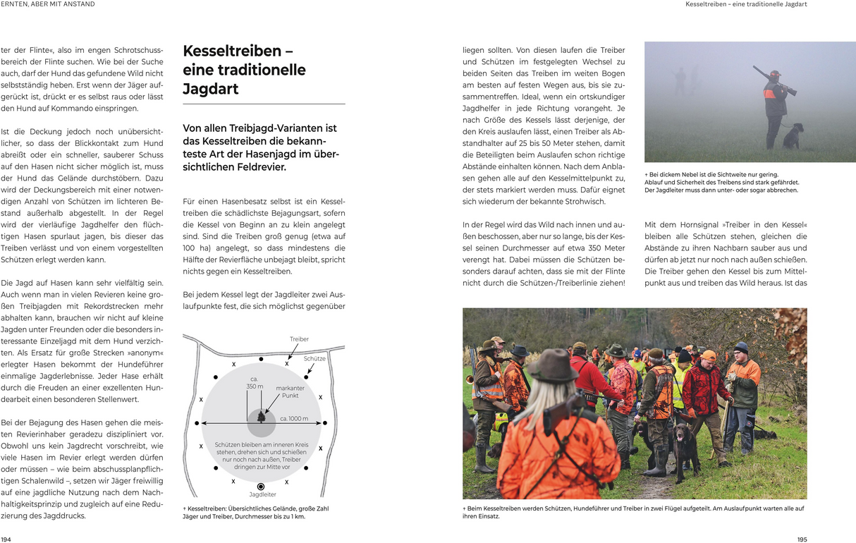 Das große BLV Handbuch Niederwild - Kesseltreiben