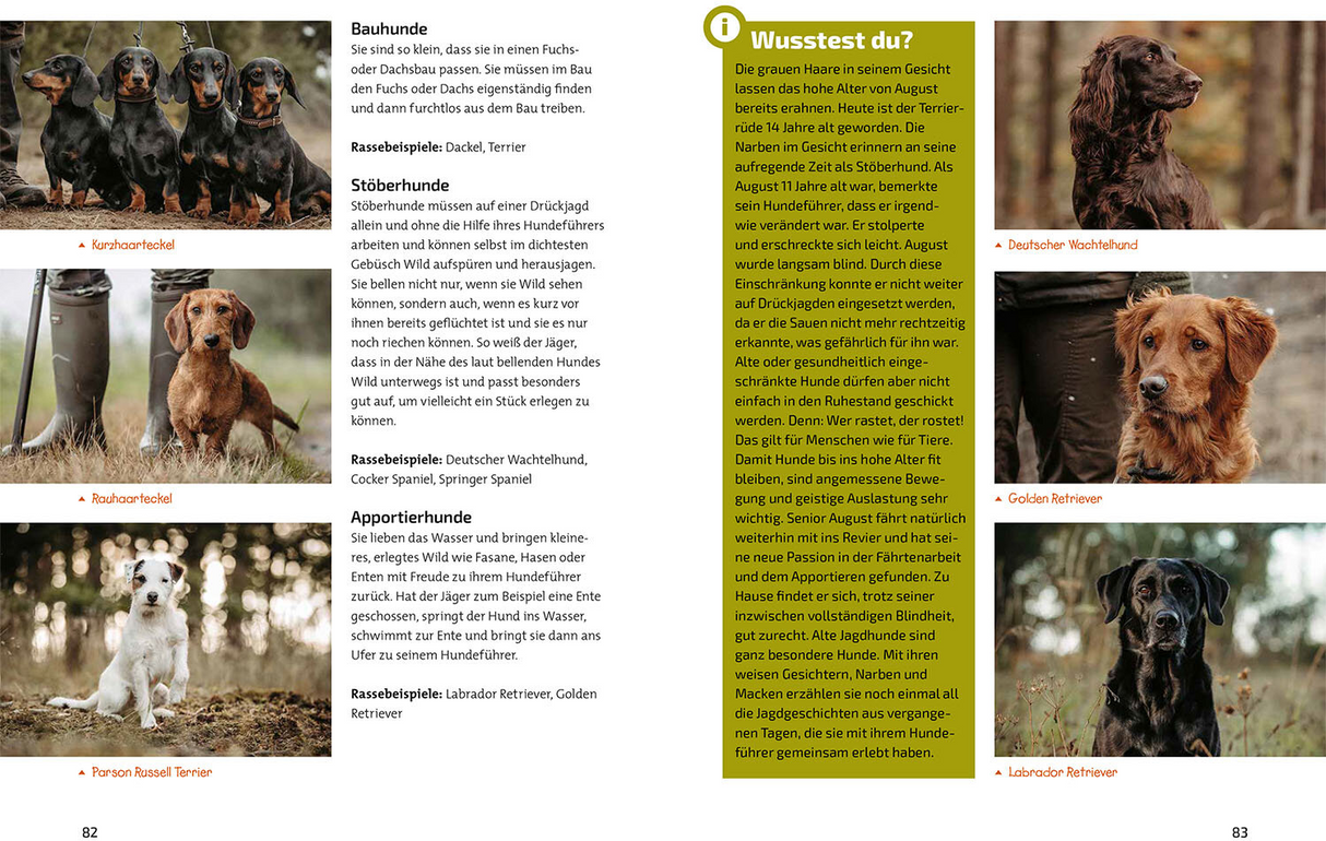 Das Jagdbuch für Kids - Jagdhunde