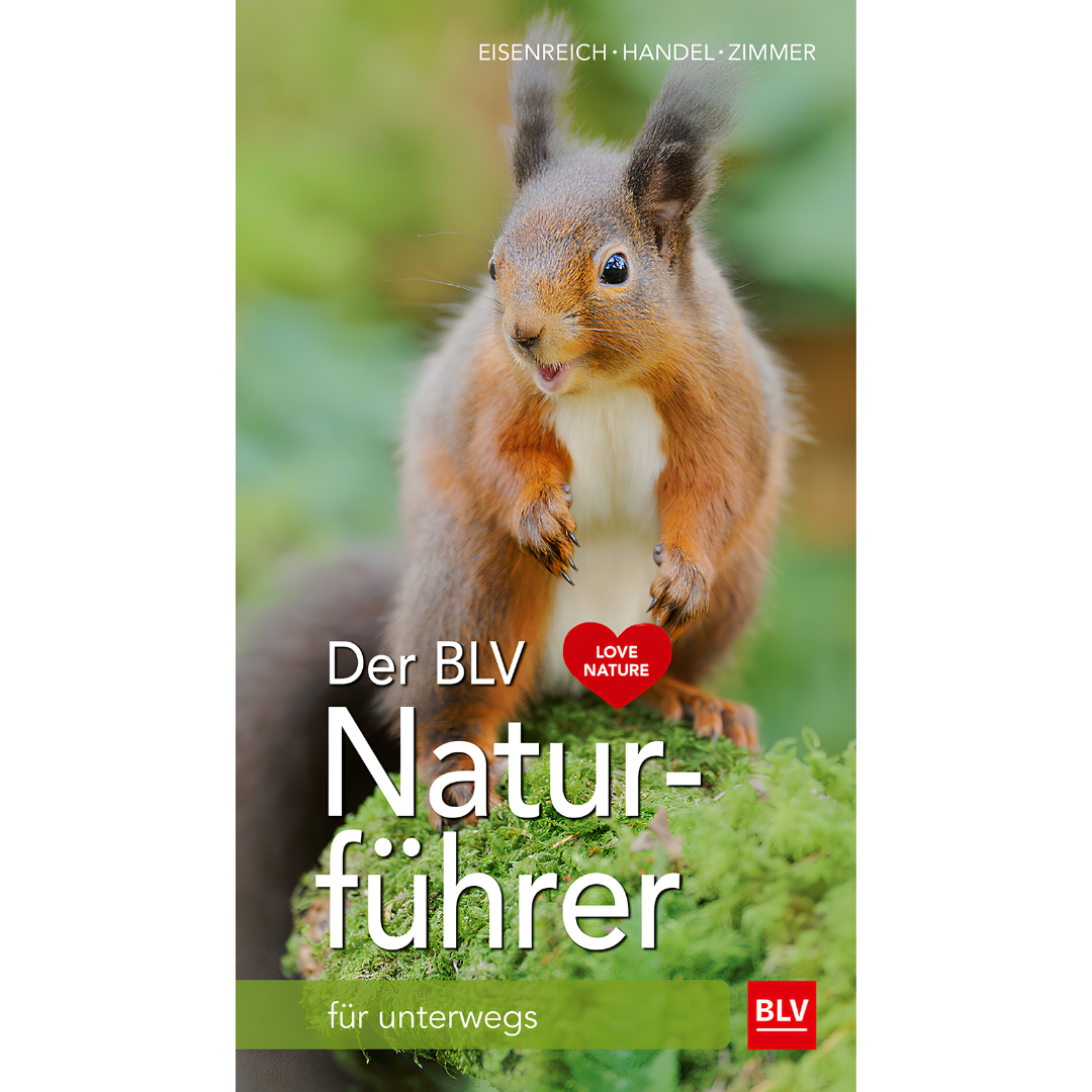Der BLV Naturführer für unterwegs