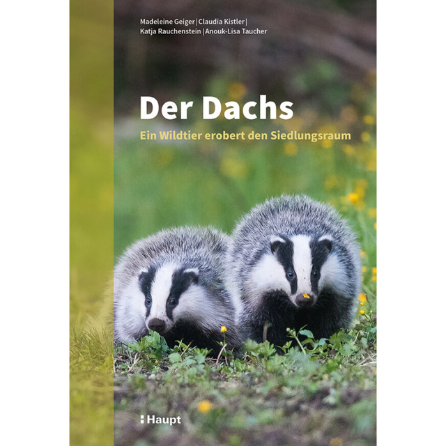 Der Dachs - Ein Wildtier erobert den Siedlungsraum