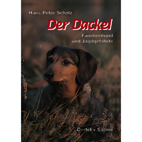 Der Dackel - Familienhund und Jagdgefährte
