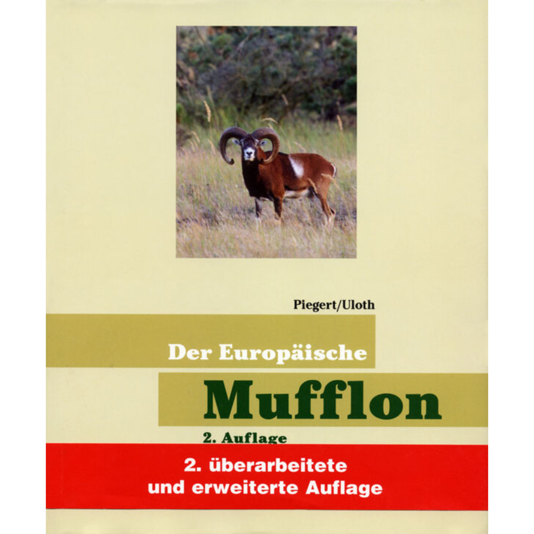 Der Europäische Mufflon