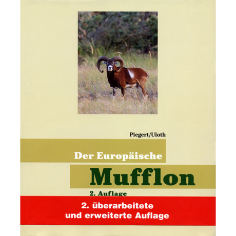 Der Europäische Mufflon