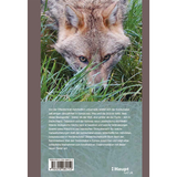 Der Goldschakal - Backcover