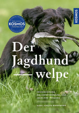 der jagdhundewelpe kosmos