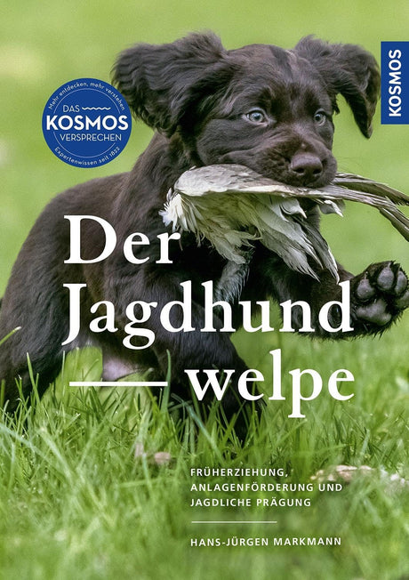 der jagdhundewelpe kosmos