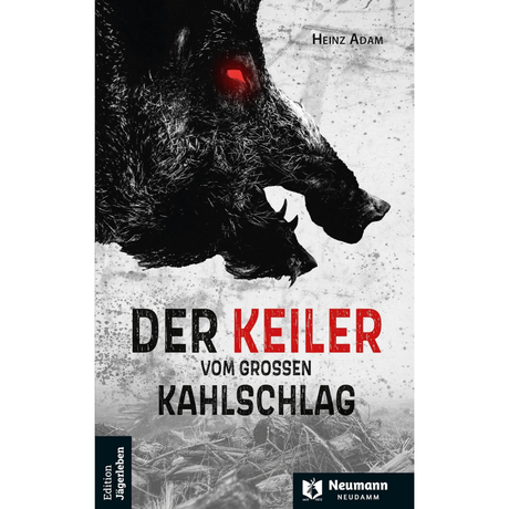 Der Keiler vom großen Kahlschlag