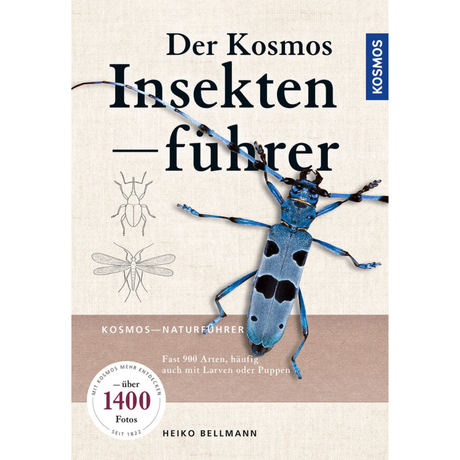 Der KOSMOS Insektenführer