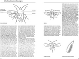 Der Kosmos Insektenführer - Insektenordnung
