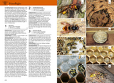 Der Kosmos Insektenführer - Hautflügler