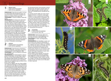 Der Kosmos Insektenführer - Schmetterlinge