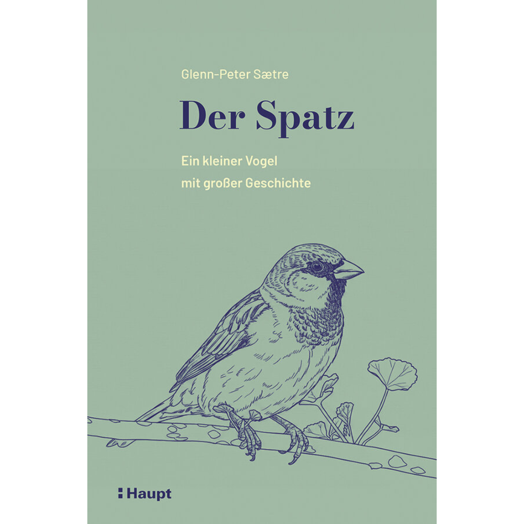 Der Spatz – Ein kleiner Vogel mit großer Geschichte
