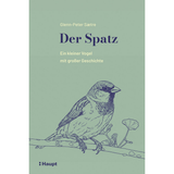 Der Spatz – Ein kleiner Vogel mit großer Geschichte