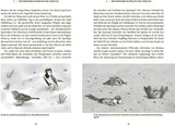 Der Spatz – Ein kleiner Vogel mit großer Geschichte - Innenansicht 3