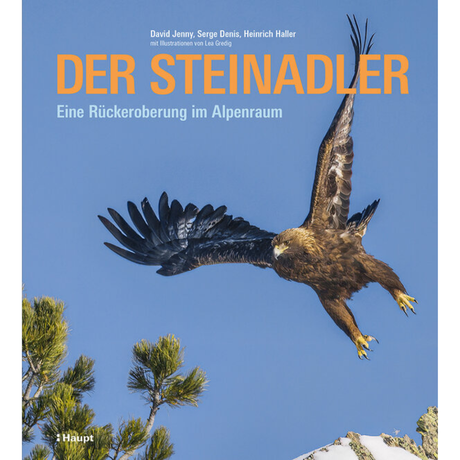 Der Steinadler - Eine Rückeroberung im Alpenraum