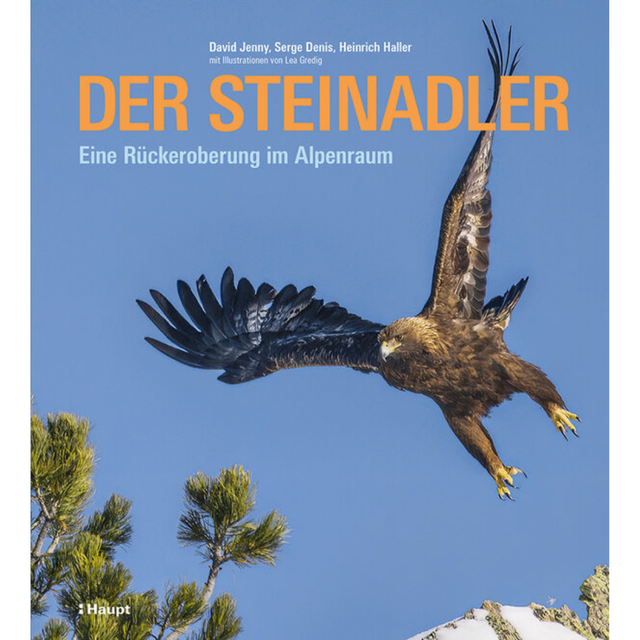 Der Steinadler - Eine Rückeroberung im Alpenraum