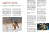 Die Altersansprache des Schalenwilds - Merkmale