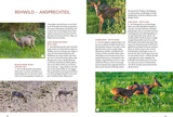 Die Altersansprache des Schalenwilds Rehwild