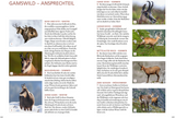 Die Altersansprache des Schalenwilds - Gamswild