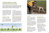 Die Ausbildung des Jagdhundes - Spurengebilde