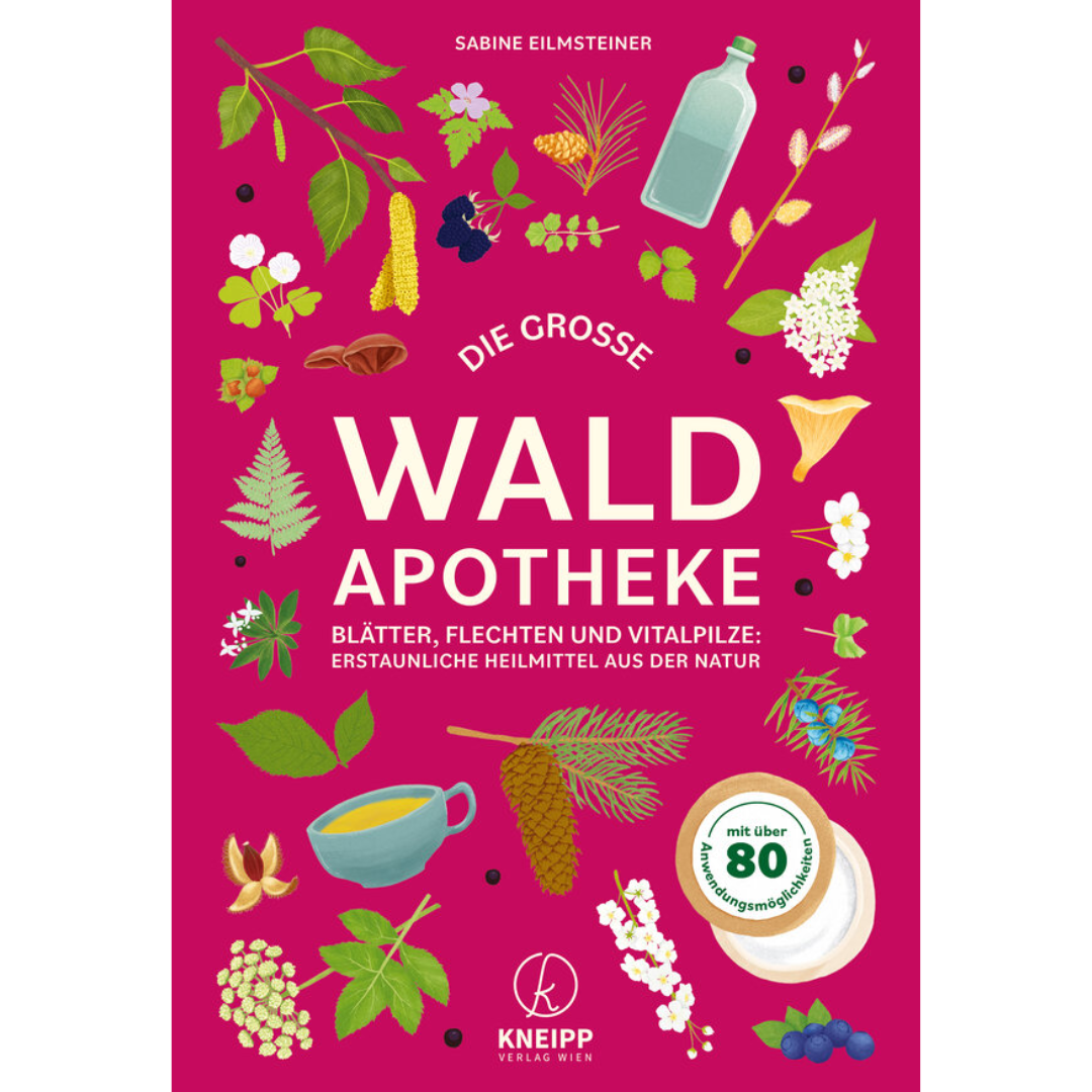 Die große Waldapotheke - Blätter, Flechten und Vitalpilze: Erstaunliche Heilmittel aus der Natur