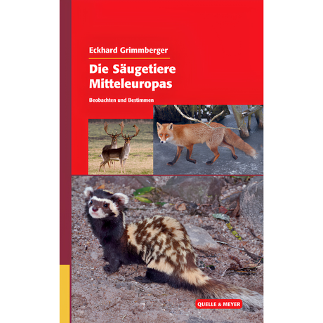 Die Säugetiere Mitteleuropas - Beobachten und Bestimmen von Eckhard Grimmberger