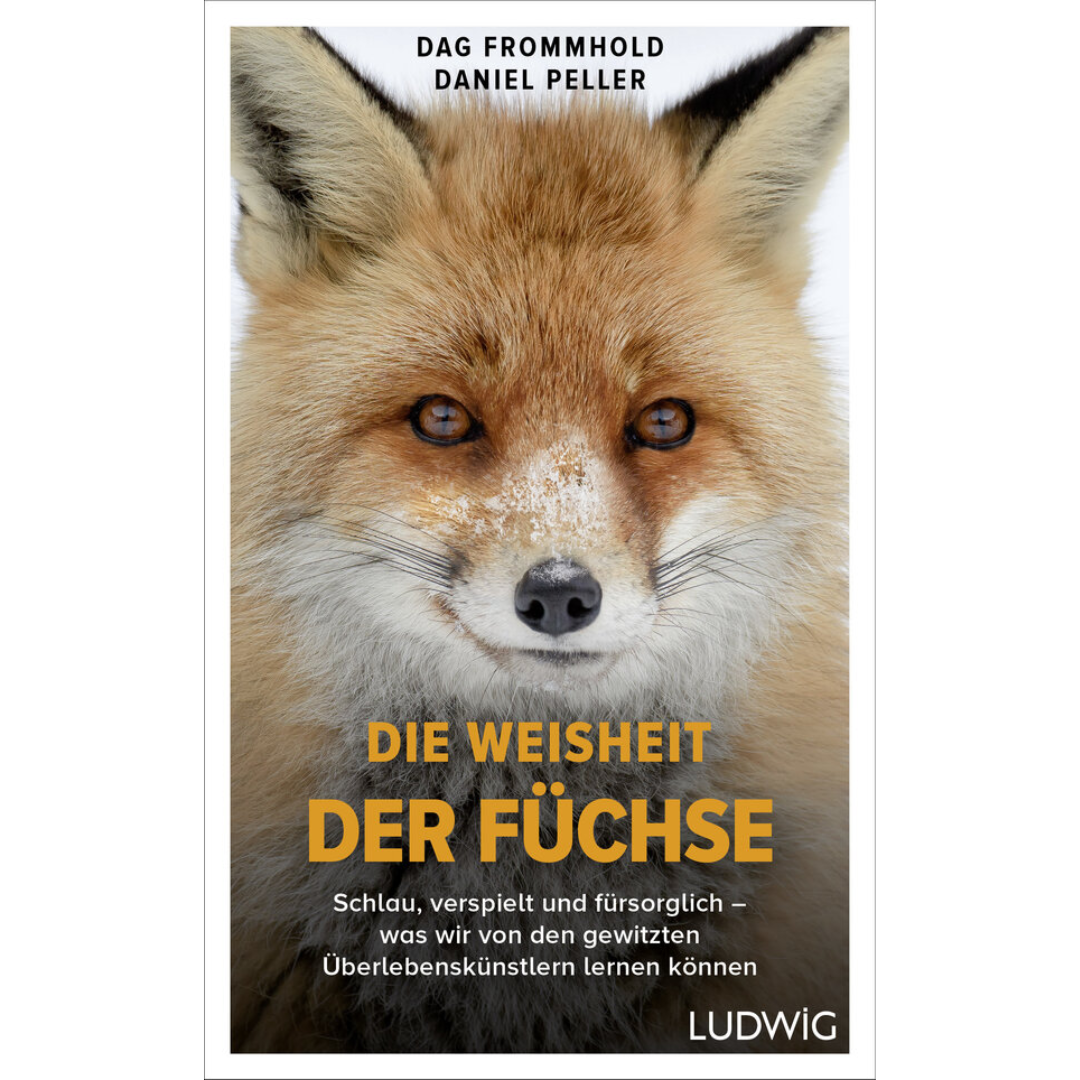 Die Weisheit der Füchse – Schlau, verspielt und fürsorglich
