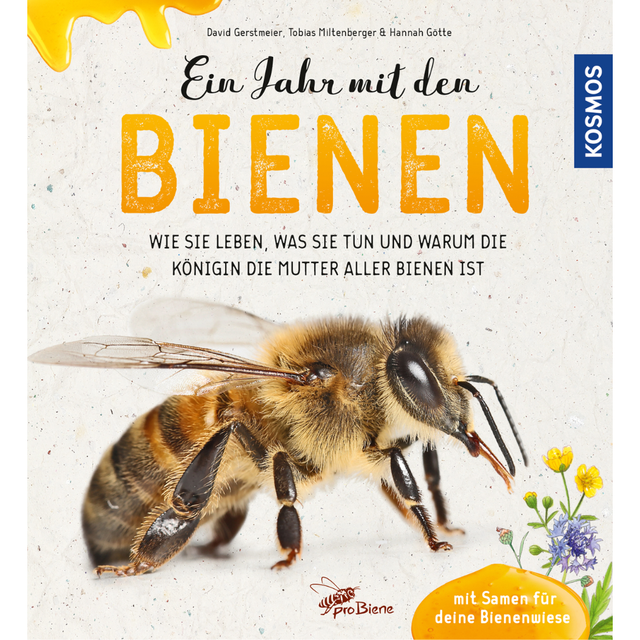 Ein Jahr mit den Bienen