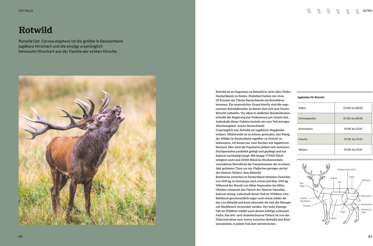 Einfach Wild - Rotwild