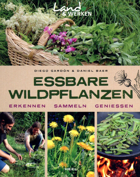Essbare Wildpflanzen - Erkennen, Sammeln, Genießen