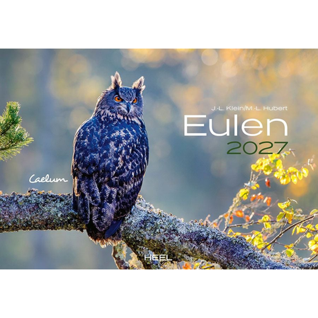 Eulen Kalender 2027 - Heel