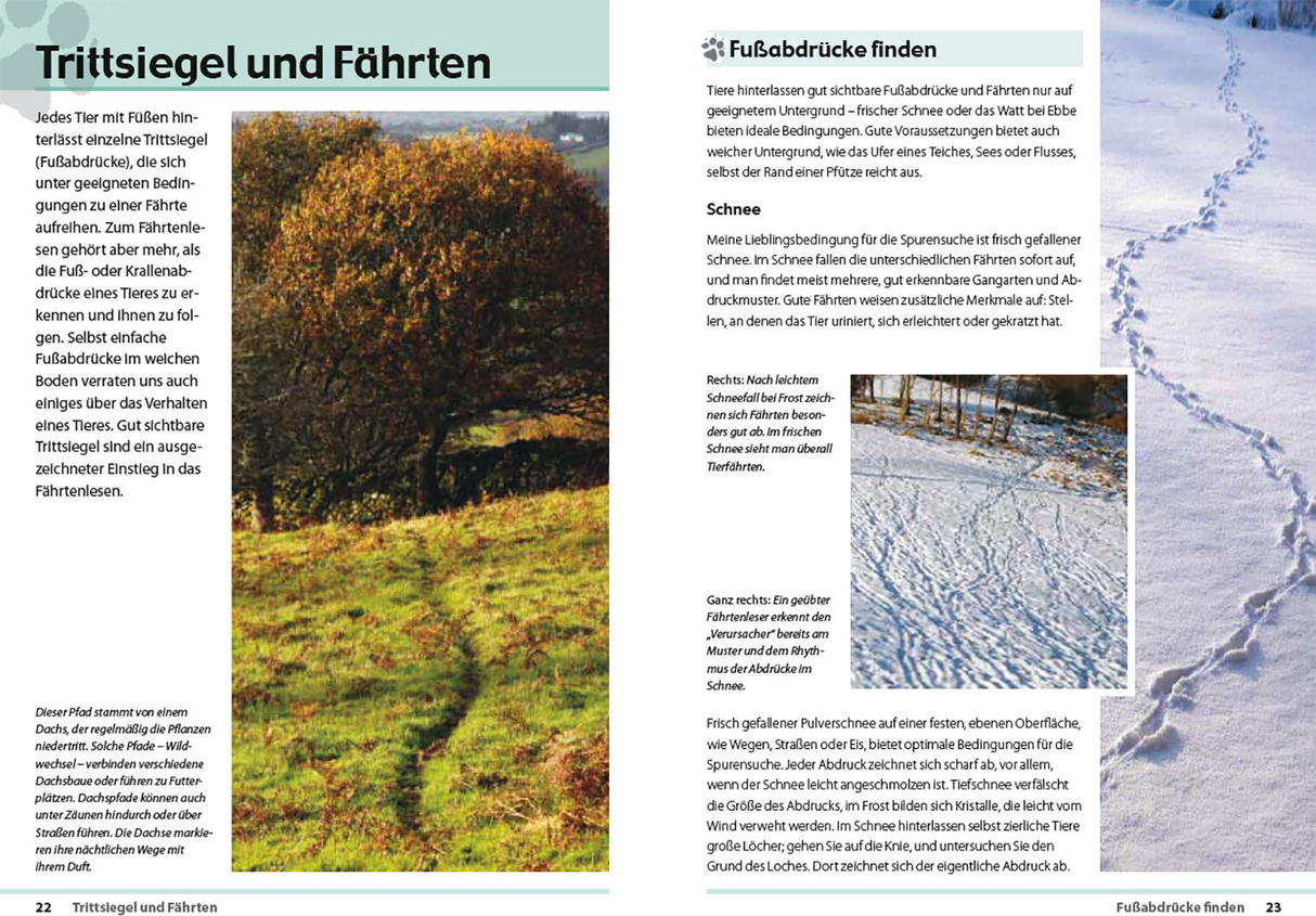 Fährten lesen und Spuren suchen - Innenansicht 2