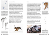 Fährten lesen und Spuren suchen - Innenansicht 4