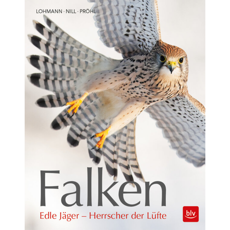 Falken - Edle Jäger - Herrscher der Lüfte von Michael Lohmann
