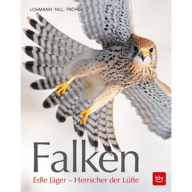 Falken - Edle Jäger - Herrscher der Lüfte von Michael Lohmann