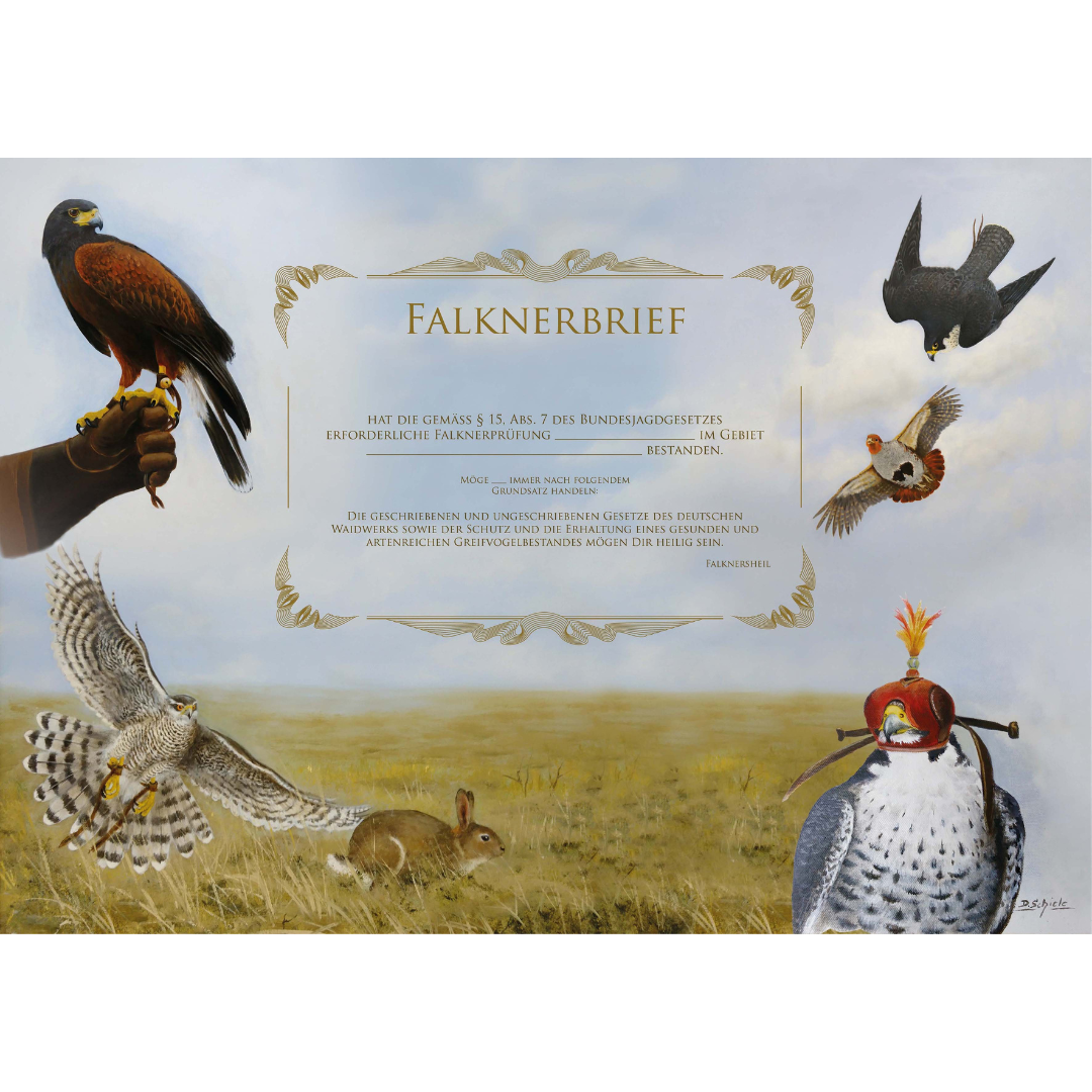 Falknerbrief - Blanko