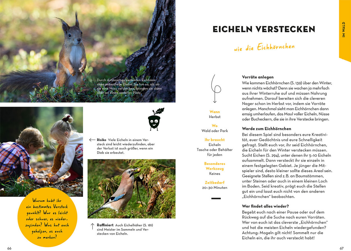 Familien-Naturführer - Im Wald