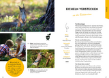 Familien-Naturführer - Im Wald
