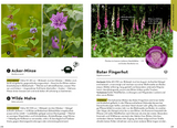 Familien-Naturführer - Wildblumen & Gräser