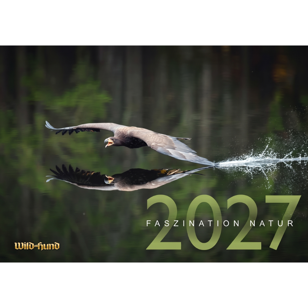 Faszination Natur Kalender 2027