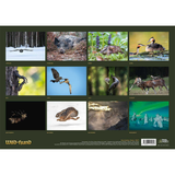 Faszination Natur Kalender 2027 - Monatsübersicht