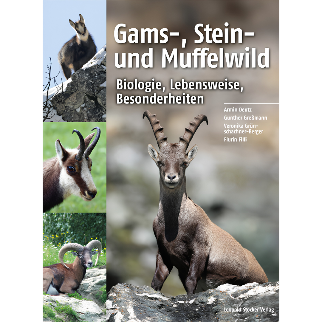 Gams-, Stein- und Muffelwild - Biologie, Lebensweise, Besonderheiten