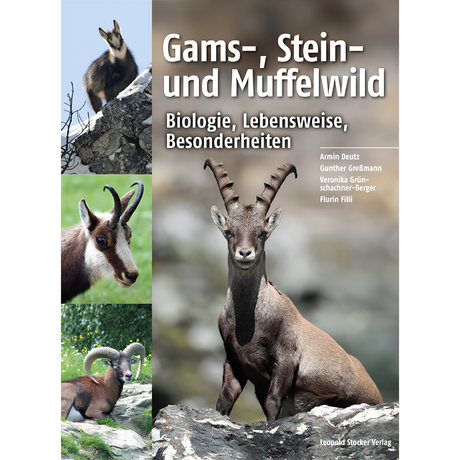 Gams-, Stein- und Muffelwild - Biologie, Lebensweise, Besonderheiten