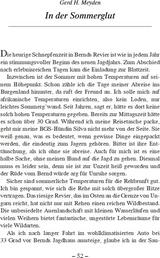 Gemeinsam auf der Pirsch - Innenansicht 3