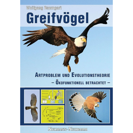 Greifvögel - Artproblem und Evolutionstheorie